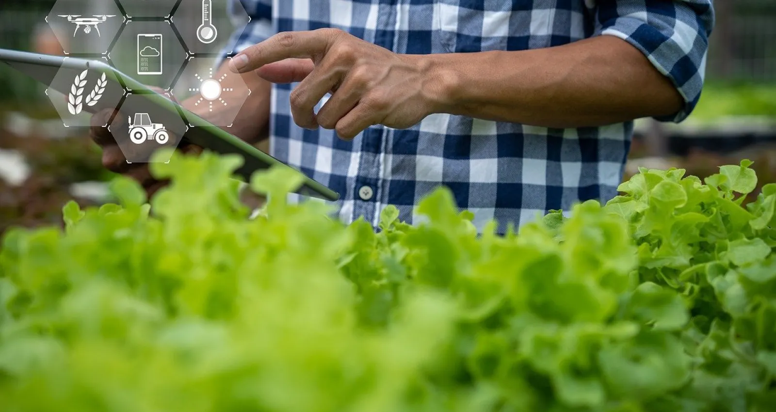 Agroindustria Tech