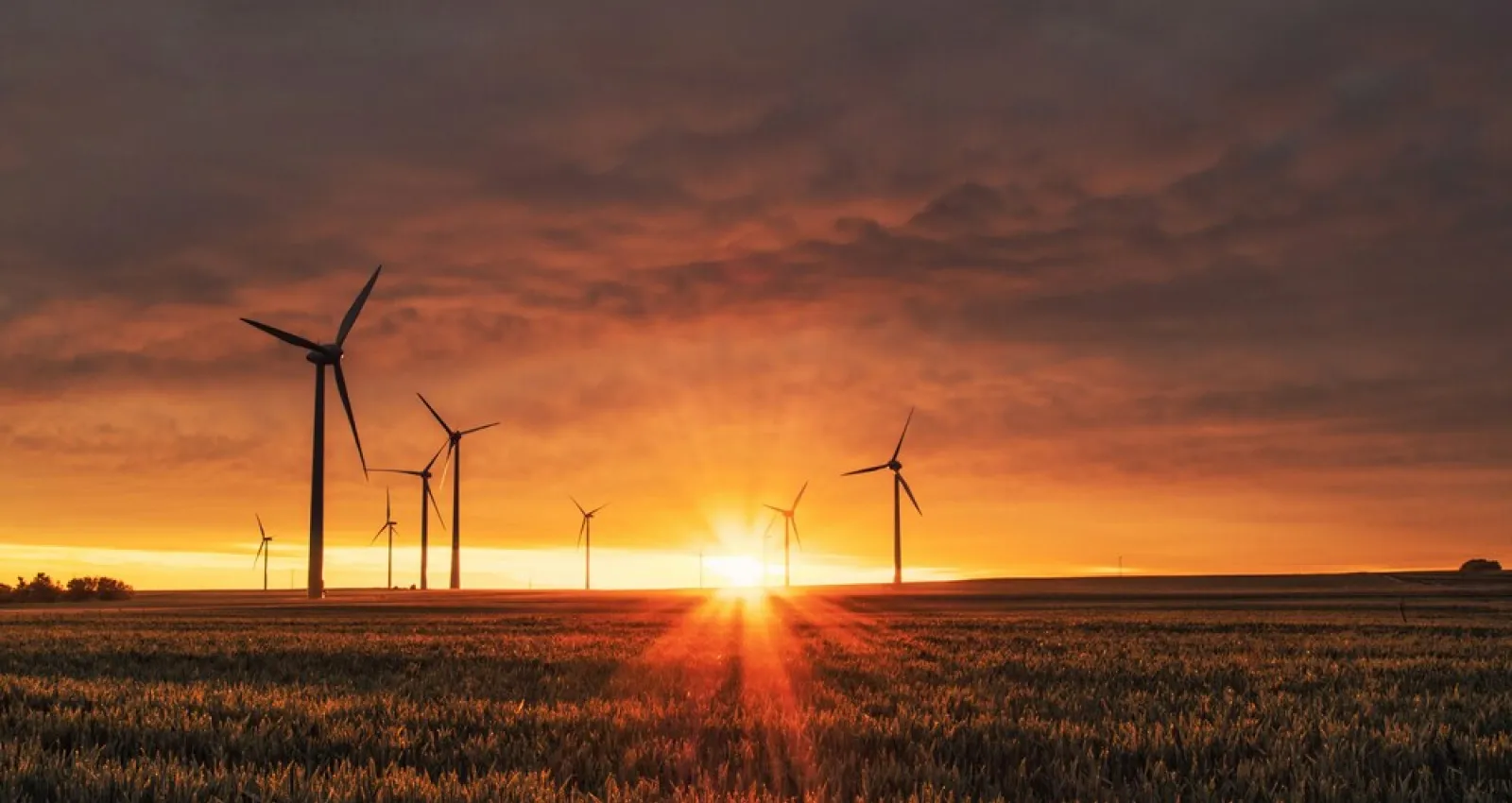 Día de la energia, foto de una puesta de sol con una imagen de energia eólica de fondo