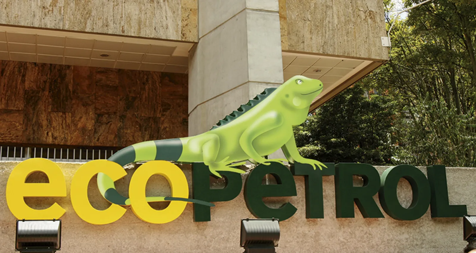 Imagen de una iguana