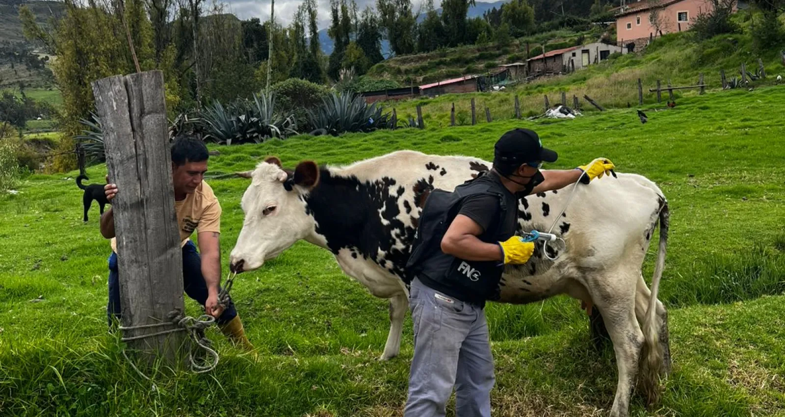 FEDEGÁN e ICA