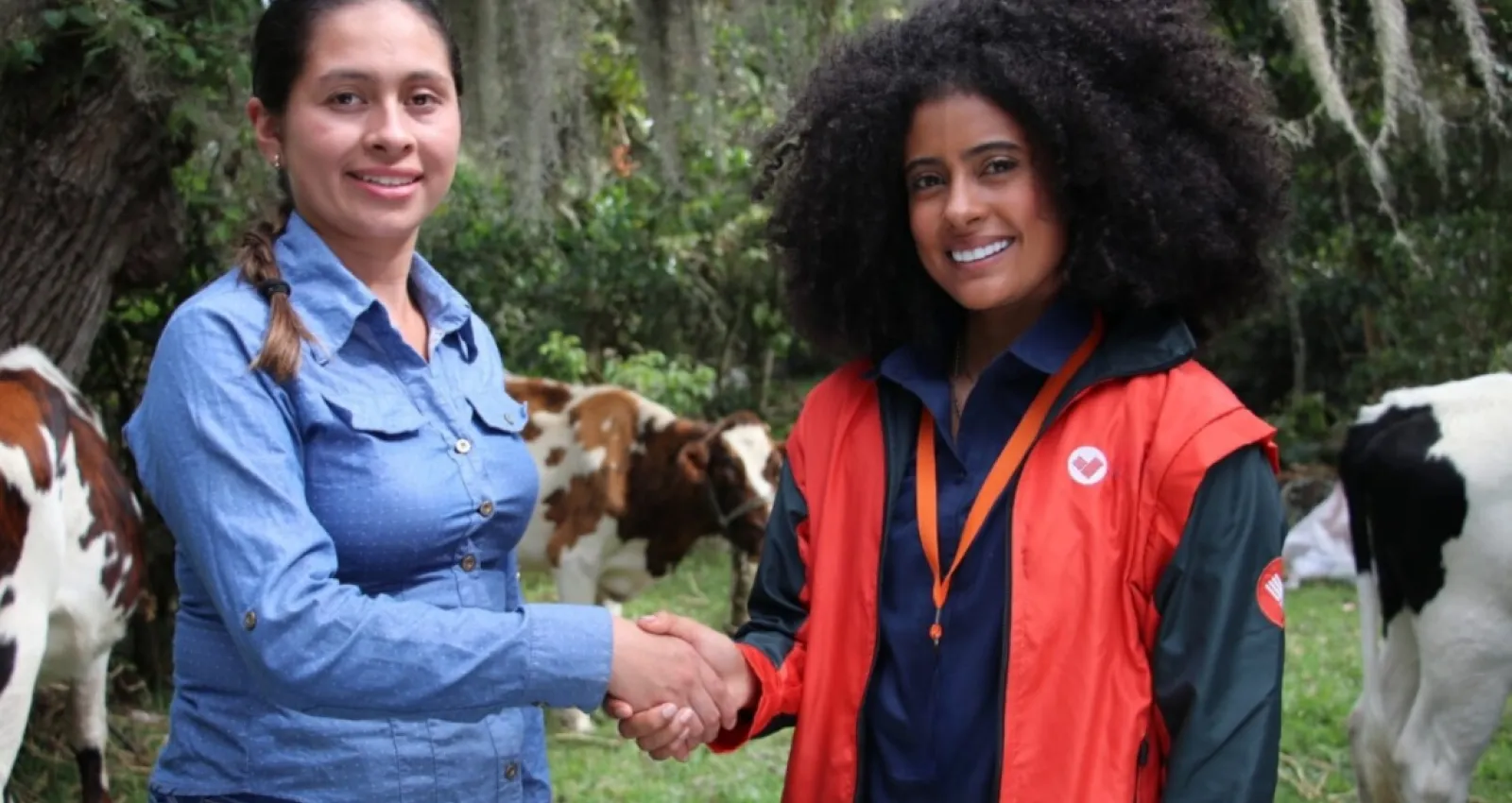 Foto de dos mujeres estrechando la mano