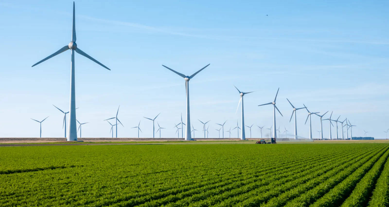 Foto de molinos sobre un campo verde