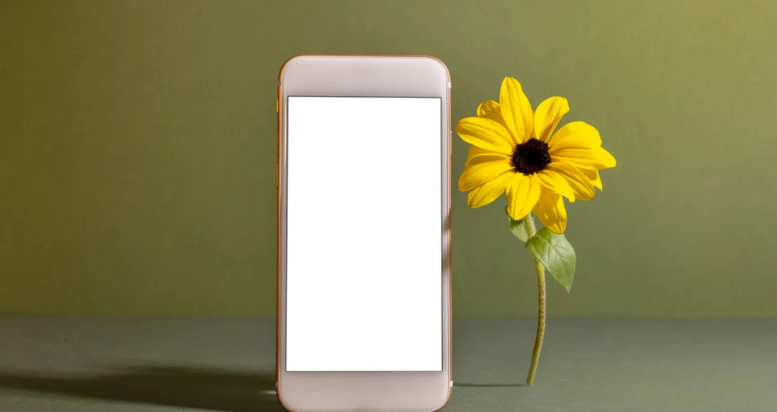 Foto de un celular con un girasol al lado derecho y un fondo verde