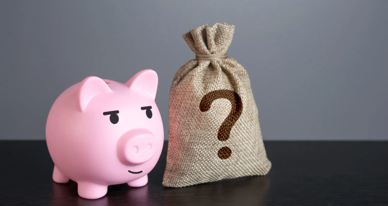 Foto de un cerdo y de una bolsa de dinero