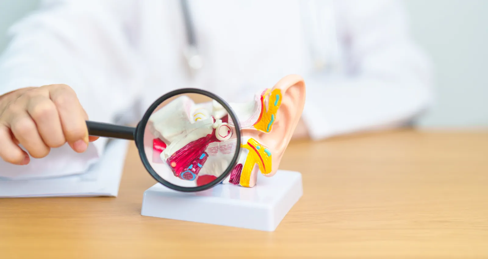 Foto de un doctor mostrando una lupa sobre un oído humano