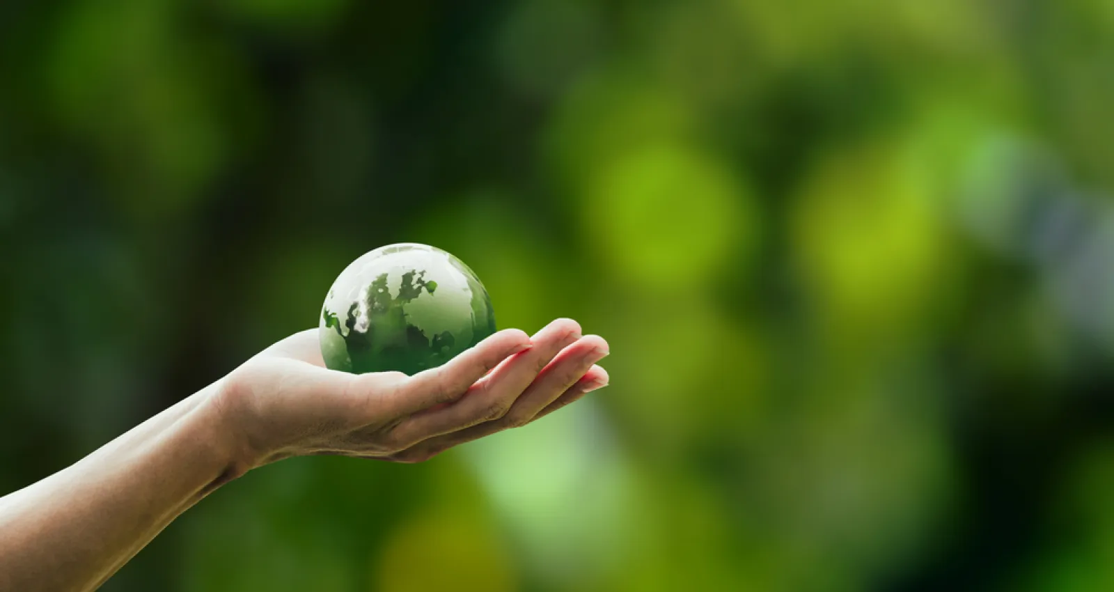 Foto de una mano con un mundo verde sobre ella