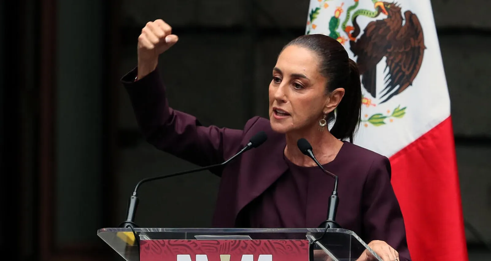 Foto de una mujer con el puño arriba y detrás de ella una bandera de méxico