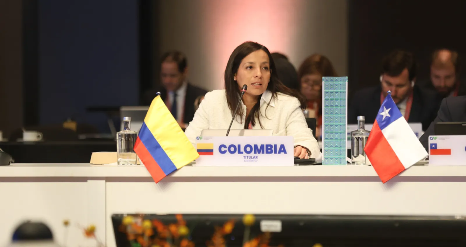 Foto de una mujer sentada en una mesa con banderas de colombia y chile