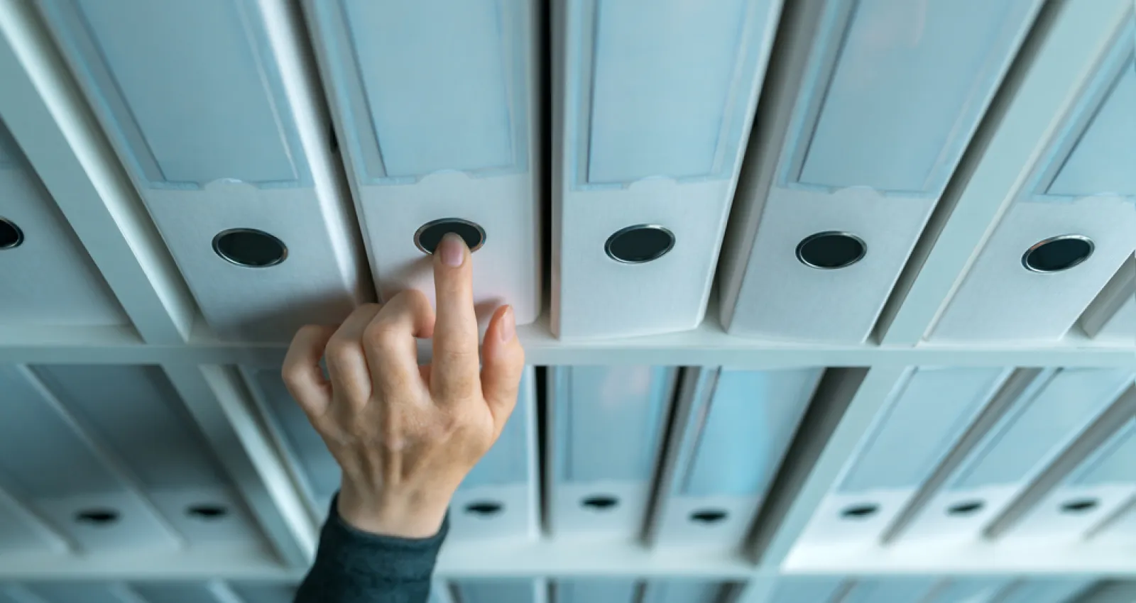 Foto de una persona buscando unos folders en una carpeta de negocios