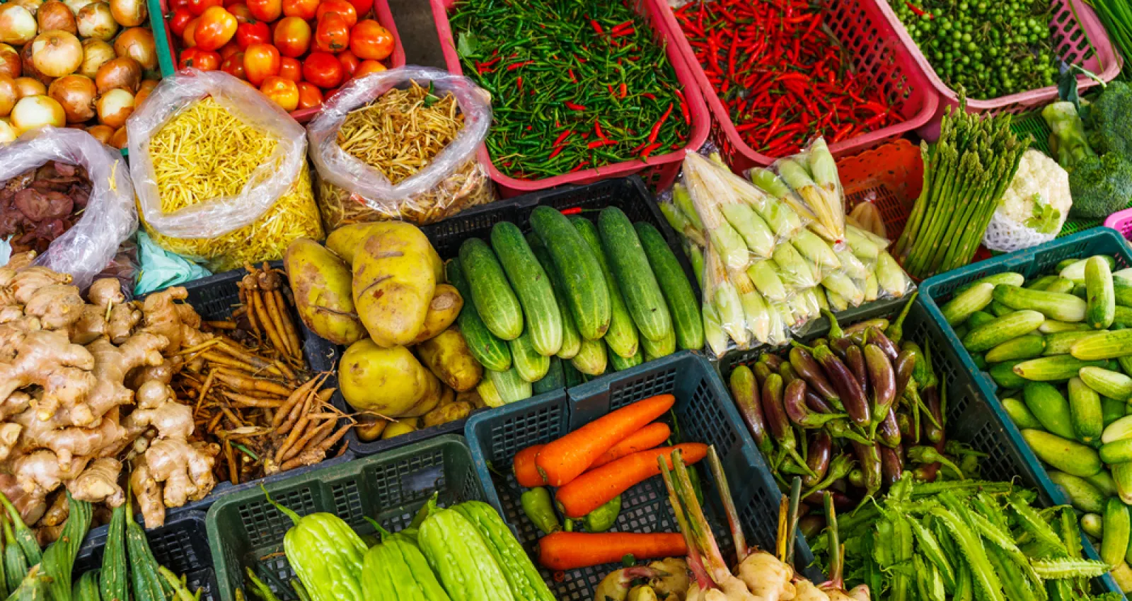 Foto de vegetales organizados en cajas