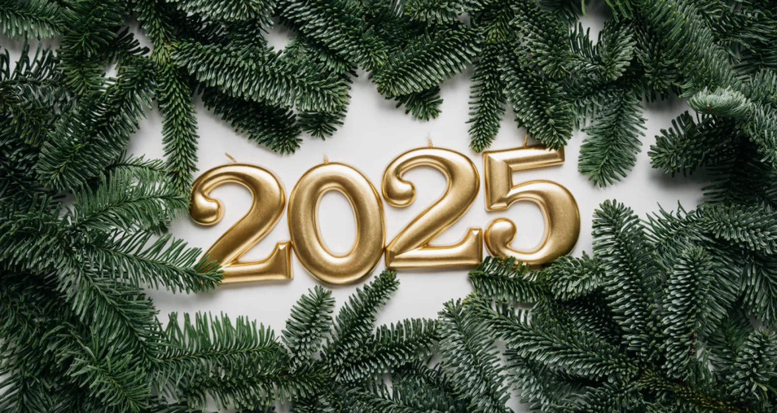 Foto del año 2025 con ramas alrededor