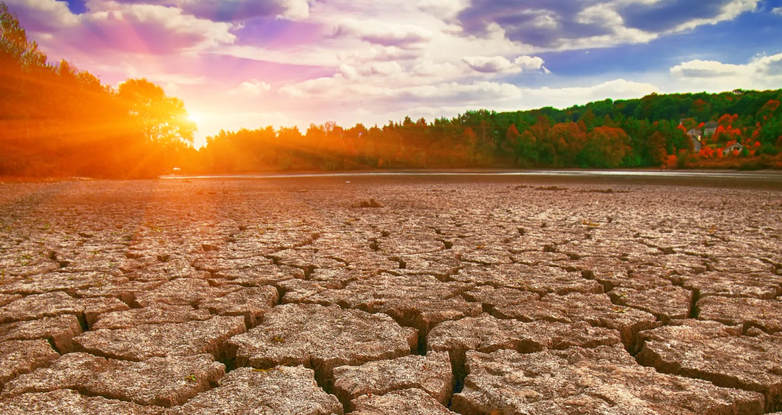 El Fenómeno de El Niño ha impactado en Colombia durante el 2024
