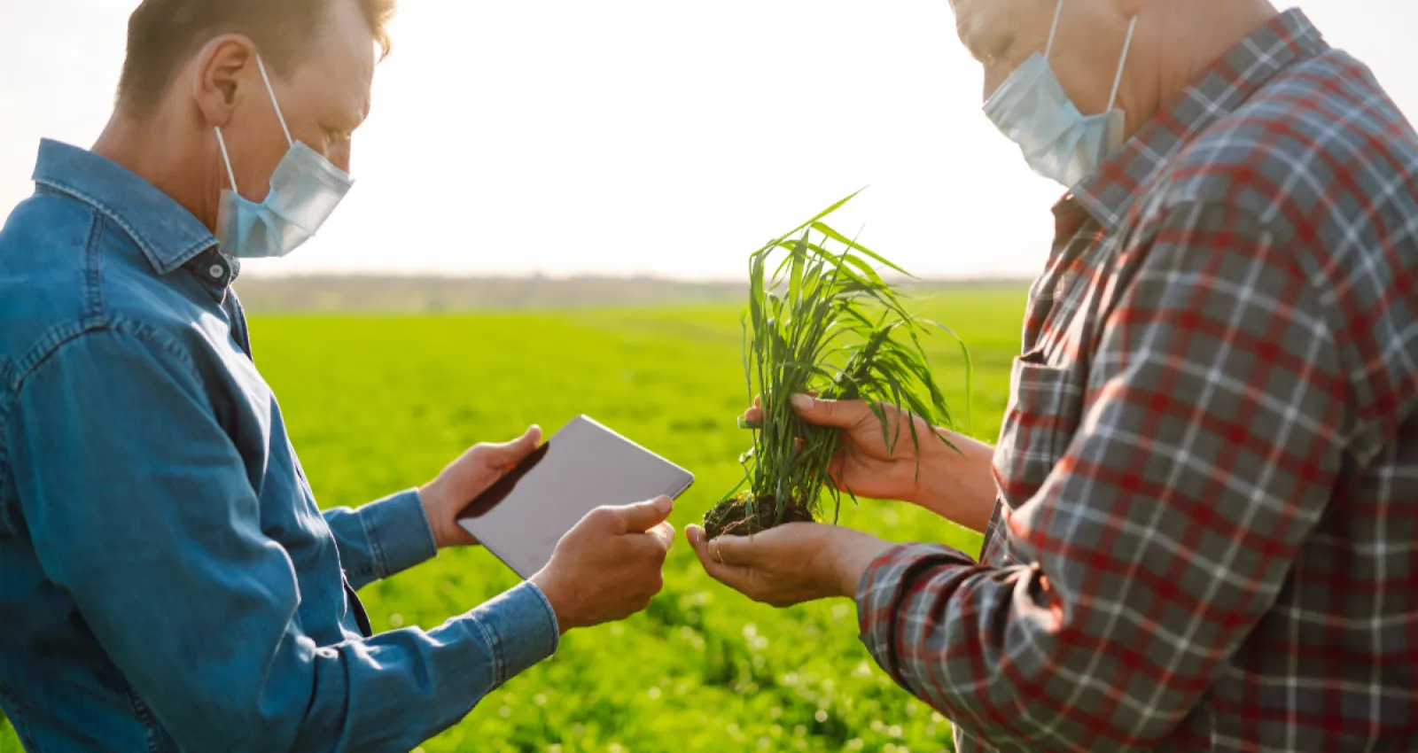 El agro fue el sector que más creció en la economía en Colombia 
