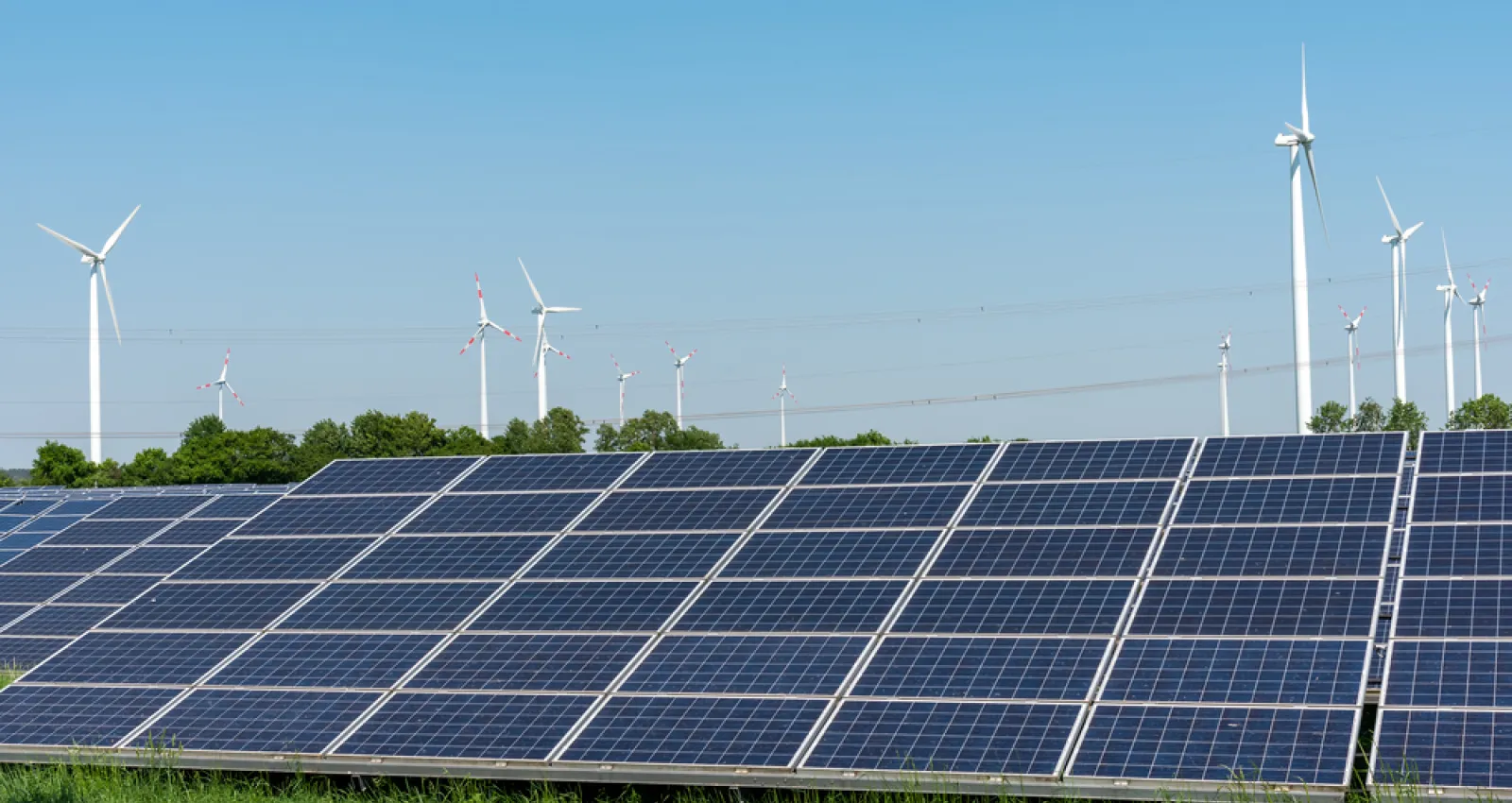 Paneles solares