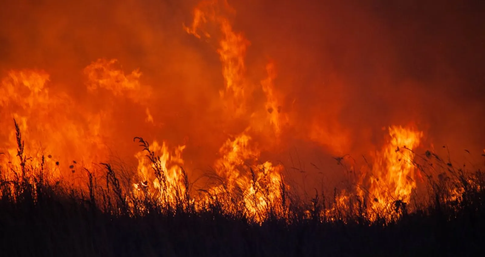 Foto de incendios en artículo sobre pérdidas económicas por catástrofes