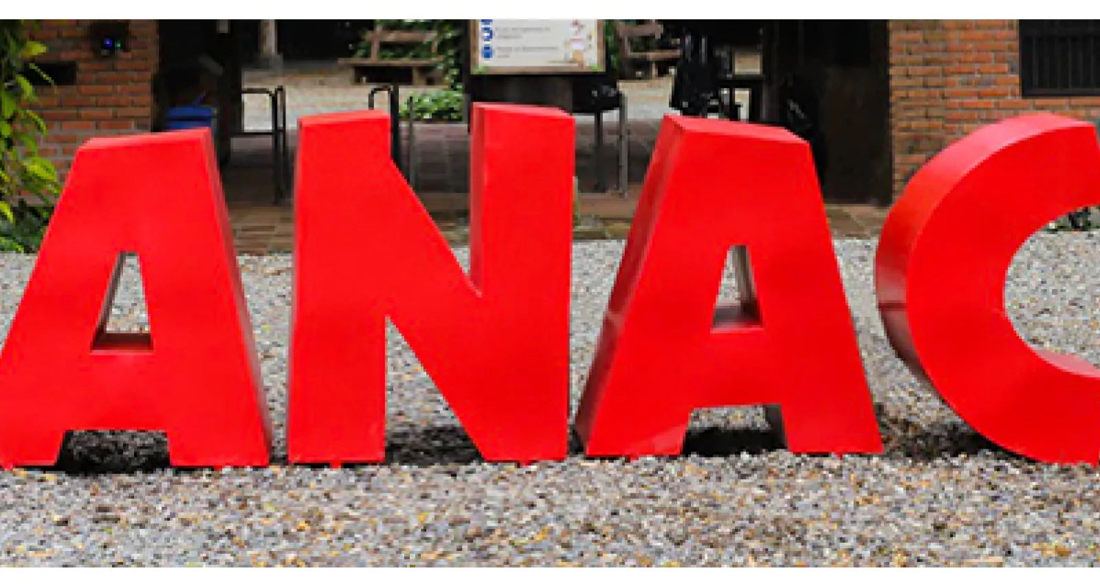 Fundación Panaca.