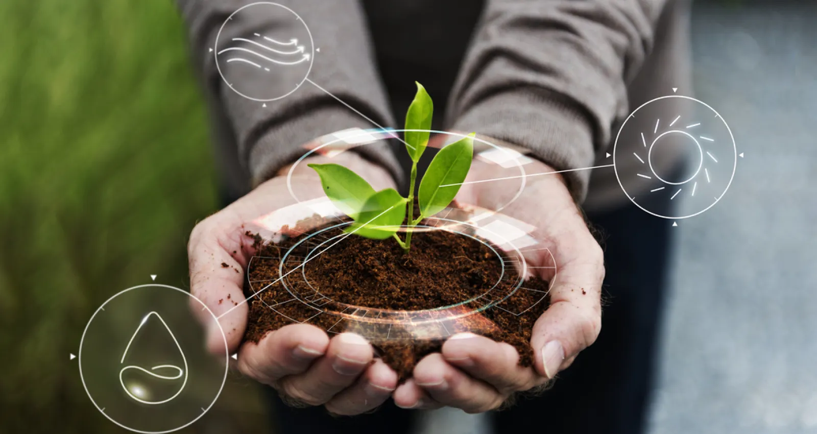 Persona sosteniendo un poco de tierra en sus manos con una planta en la parte de arriba y unos logos tecnológicos a su alrededor
