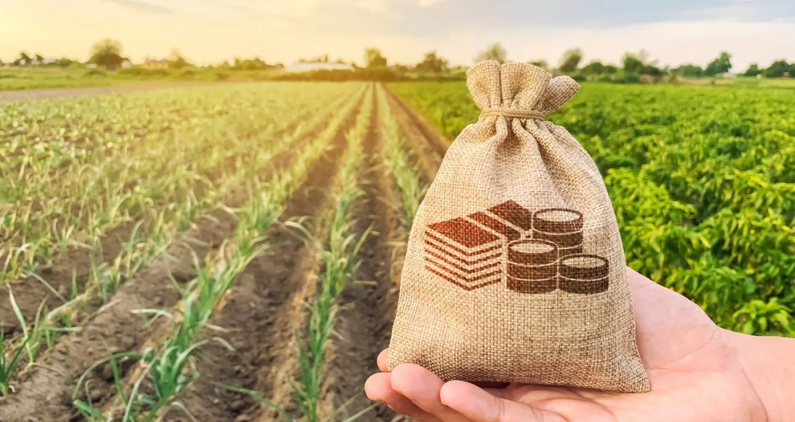 Una bolsa de dinero con un fondo agrícola de fondo