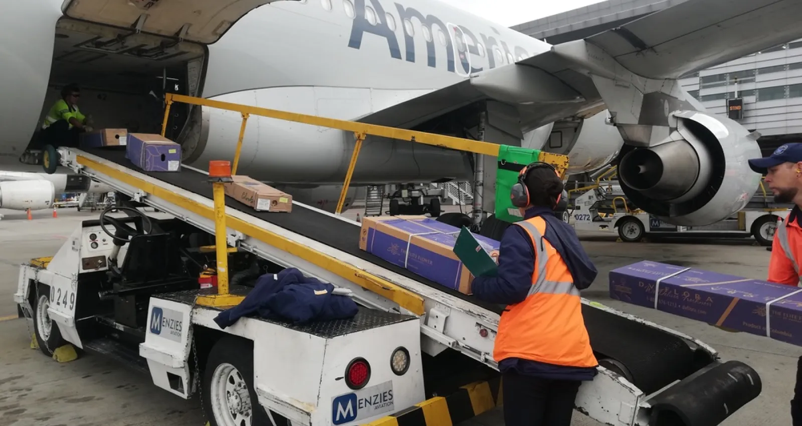 Subiendo flores a un avión de American Airlines