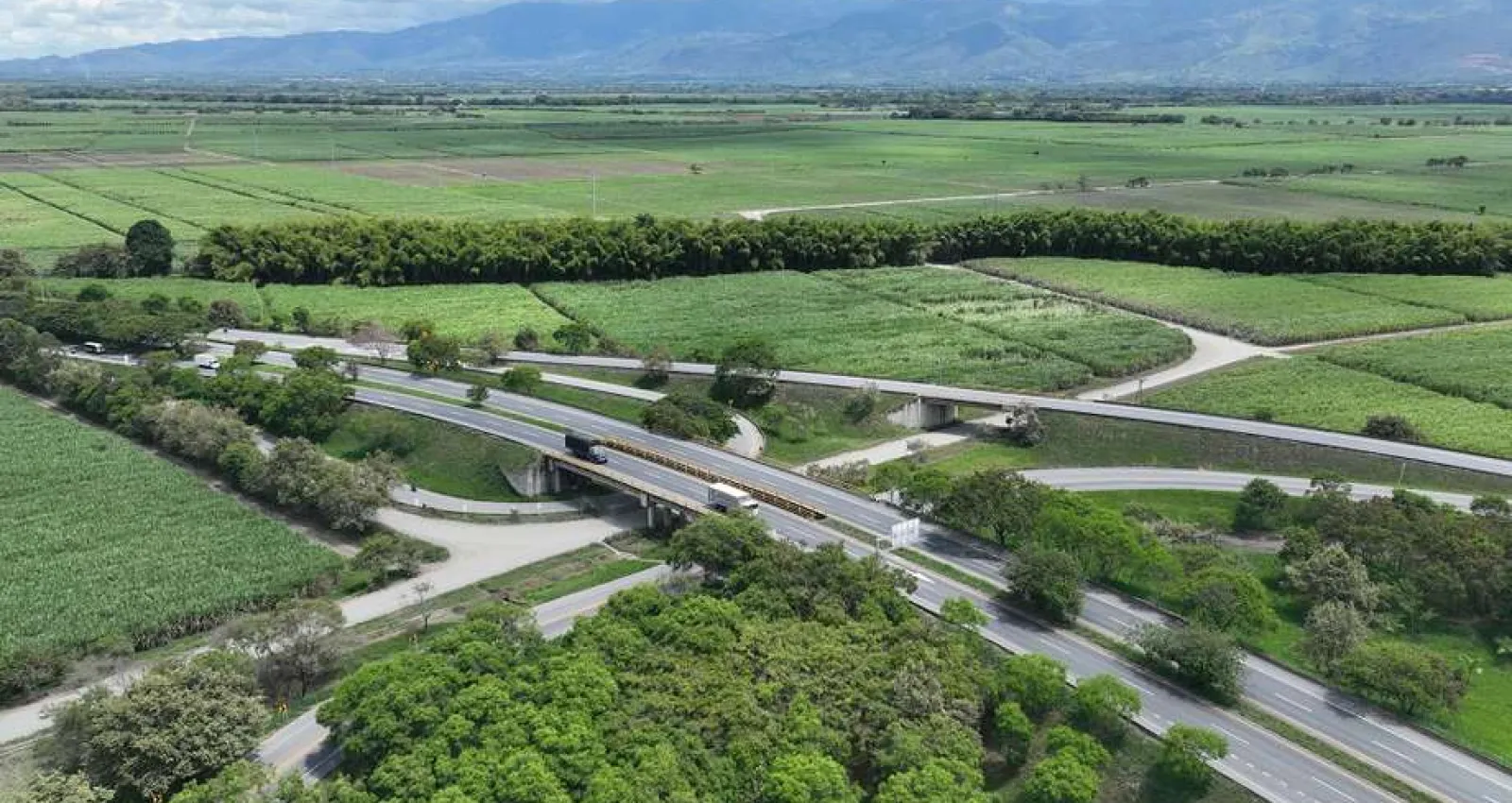 Foto de carretera con bosque a su alrededor
