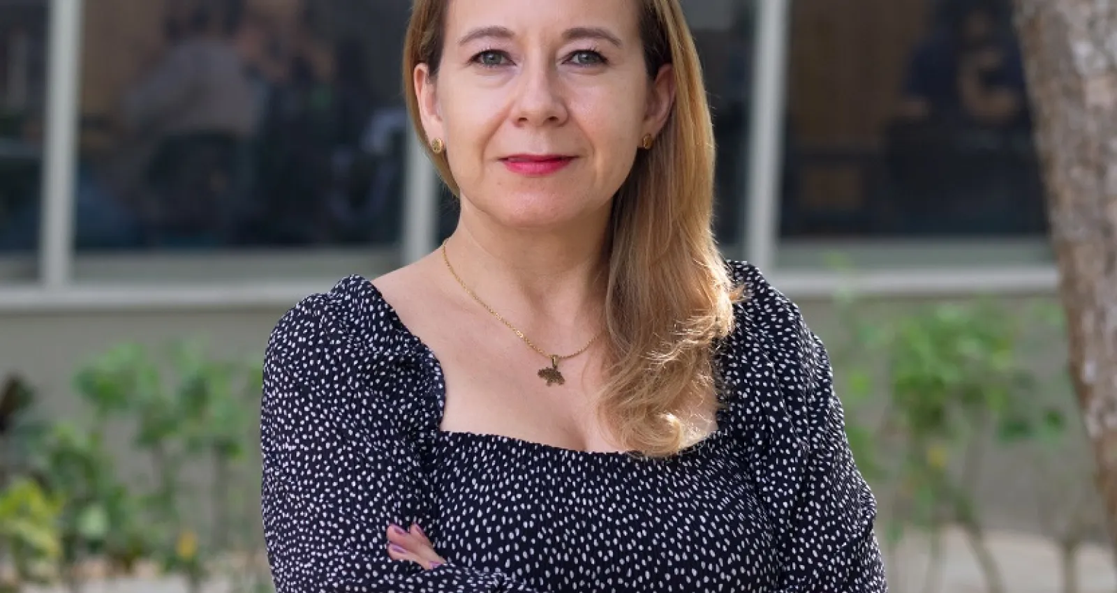 Cortesía UTB.