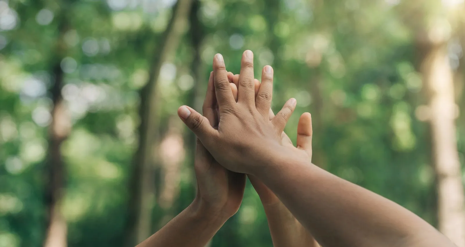 Foto de manos juntas en un bosque