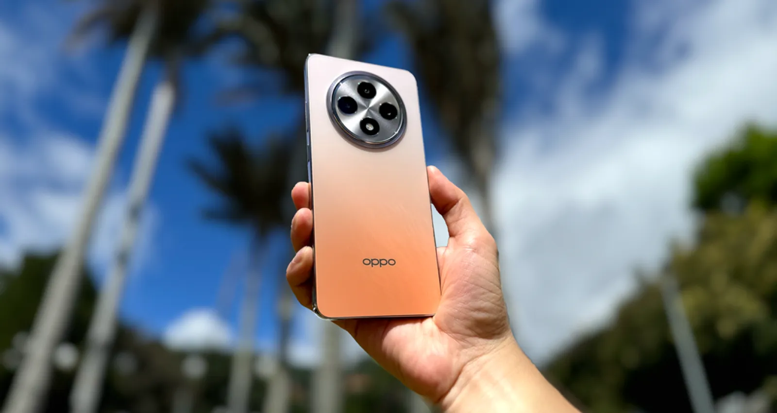 foto de un celular naranja con una palmera de fondo
