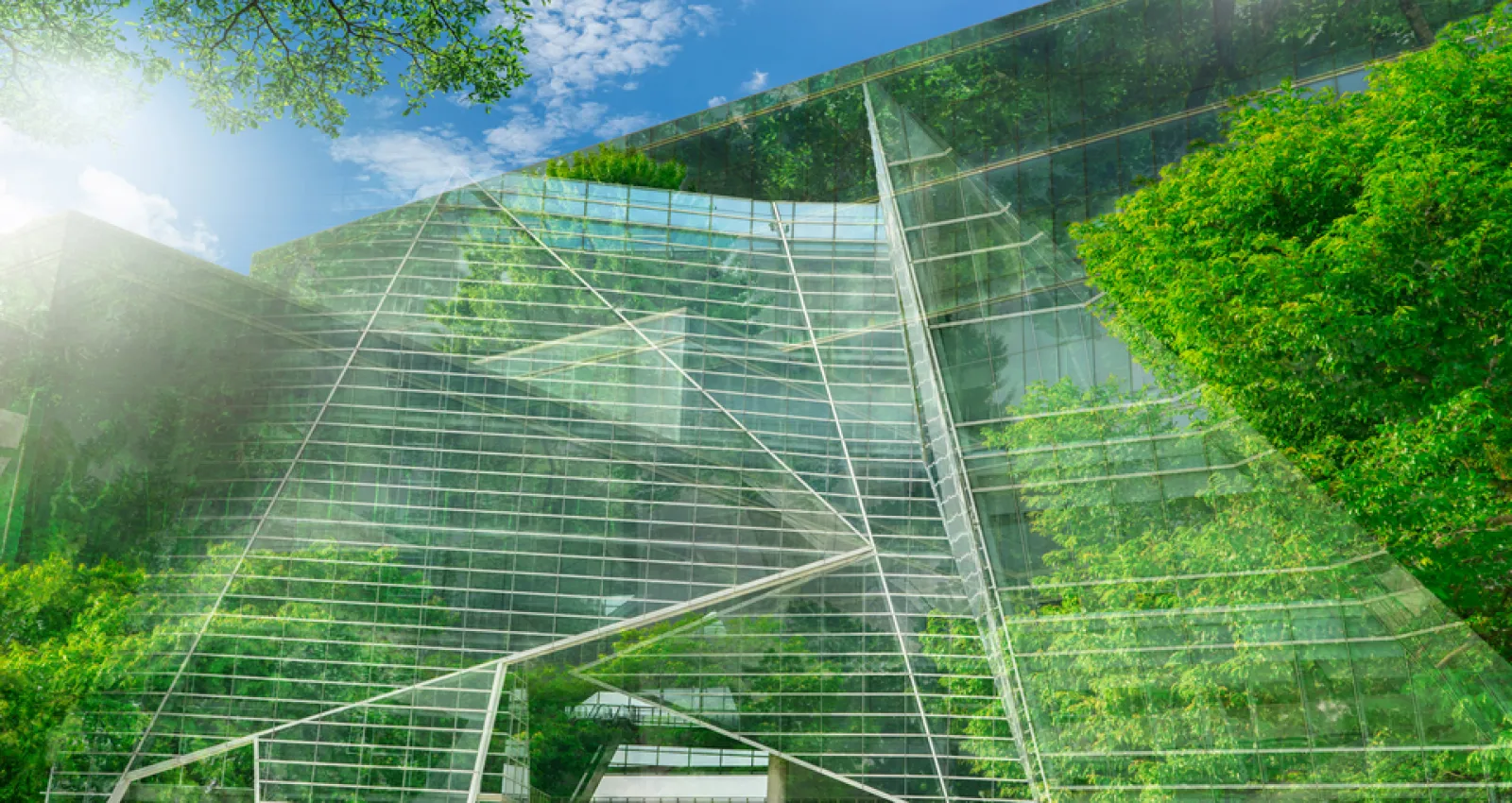 foto de un edificio verde y sostenible