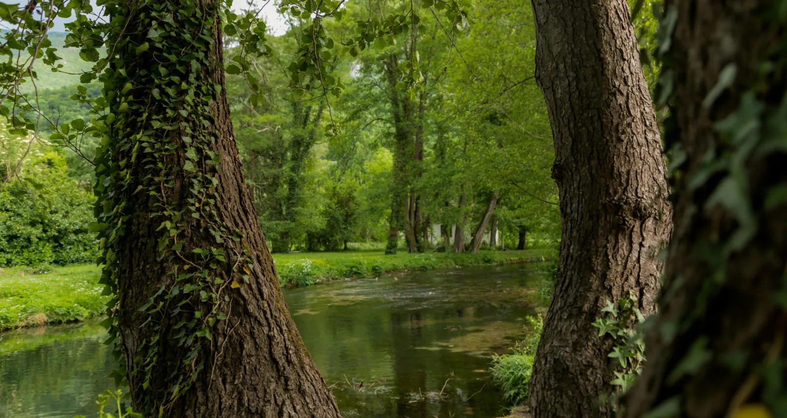 lugares con areas verdes 
