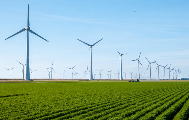 Foto de molinos sobre un campo verde
