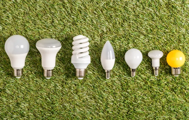 Foto de siete bombillos diferentes sobre un fondo verde