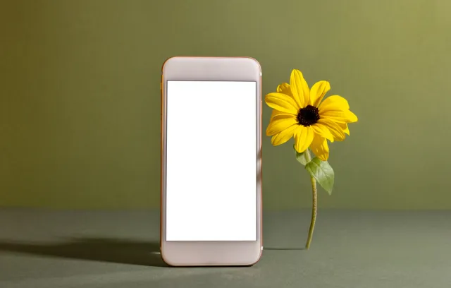 Foto de un celular con un girasol al lado derecho y un fondo verde