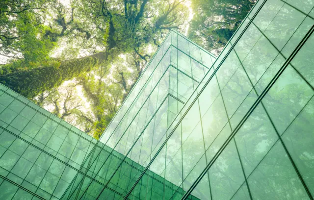 Foto de un edificio de vidrio con tonos verdes y encima y arbol