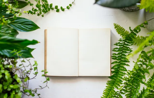 Foto de un libro abierto con plantas a su alrededor