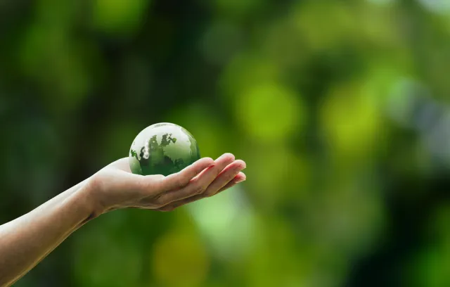 Foto de una mano con un mundo verde sobre ella