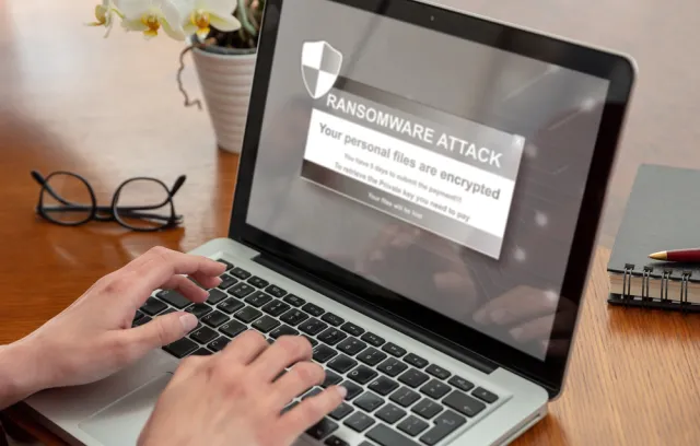 Foto de una persona escribiendo sobre un computador y un aviso en la pantalla