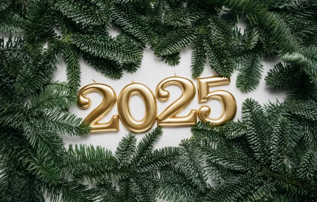 Foto del año 2025 con ramas alrededor