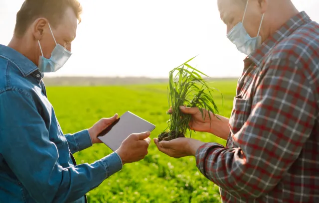 El agro fue el sector que más creció en la economía en Colombia 