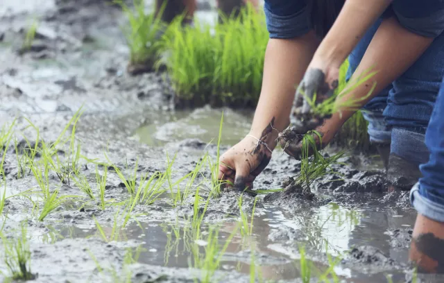 Mitigación del Fenómeno de la Niña en Colombia