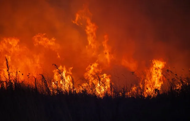 Foto de incendios en artículo sobre pérdidas económicas por catástrofes