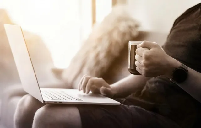 Envato. 