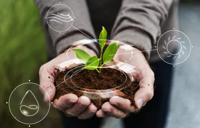 Persona sosteniendo un poco de tierra en sus manos con una planta en la parte de arriba y unos logos tecnológicos a su alrededor