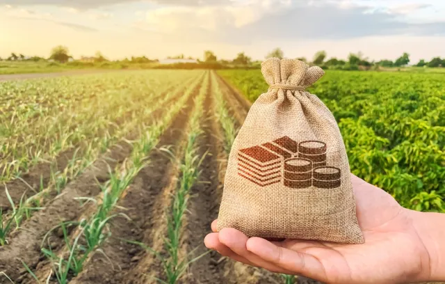 Una bolsa de dinero con un fondo agrícola de fondo
