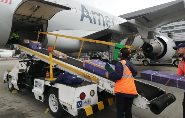 Subiendo flores a un avión de American Airlines