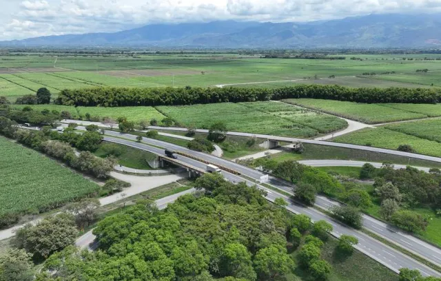Foto de carretera con bosque a su alrededor