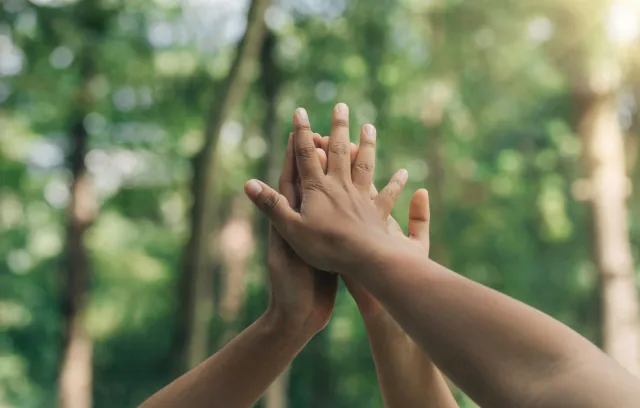 Foto de manos juntas en un bosque