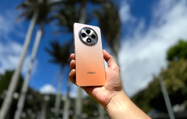 foto de un celular naranja con una palmera de fondo