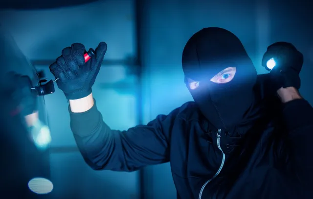 ladrón robando una casa