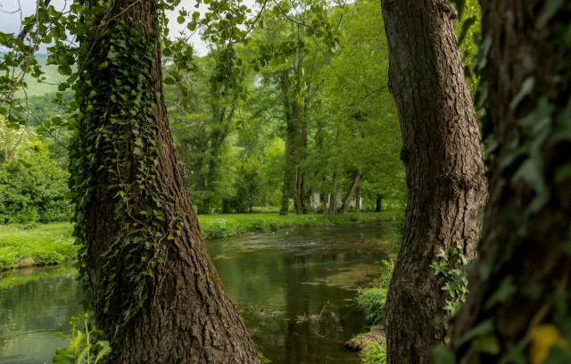 lugares con areas verdes 
