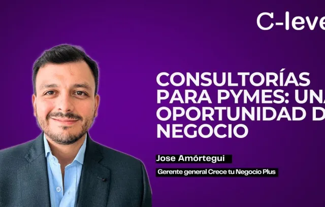 Embedded thumbnail for Crece tu Negocio Plus: así funciona la consultoría para pymes